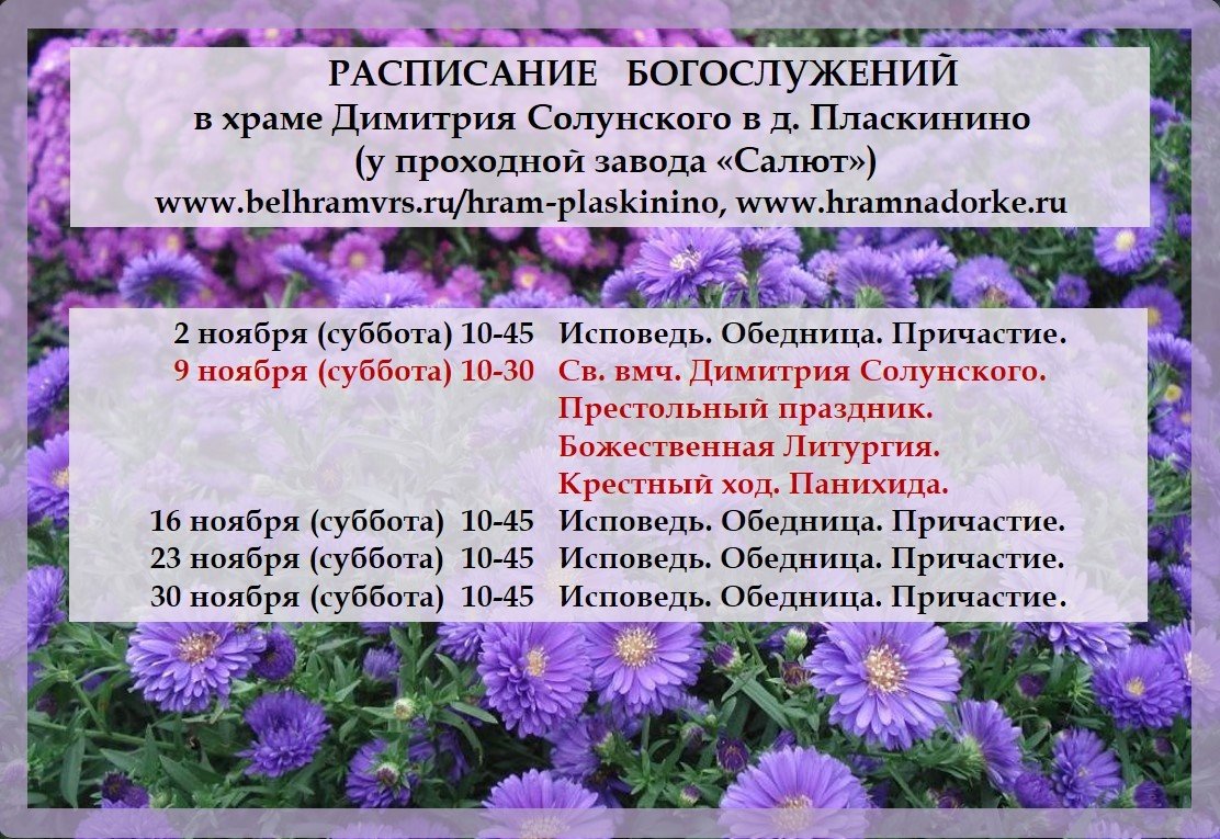 Ноябрь