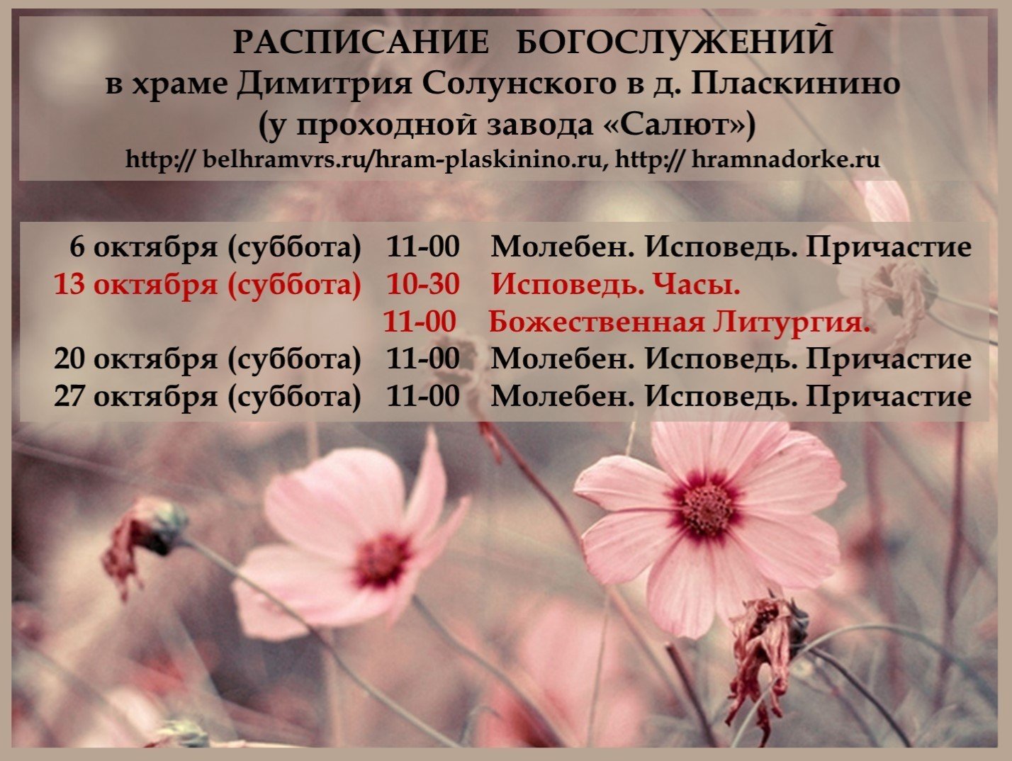 Расписание октябрь Пласкинино