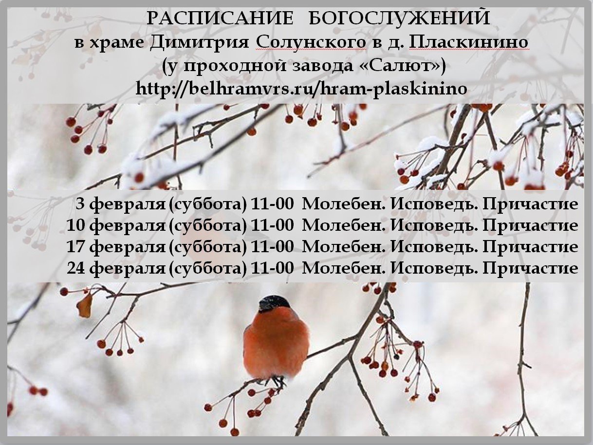 Расписание.Пласкинино.Февраль 2018г.