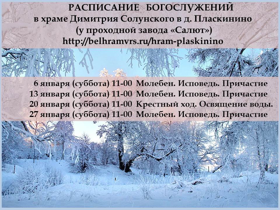 Расписание. Январь 2018.Пласкинино.