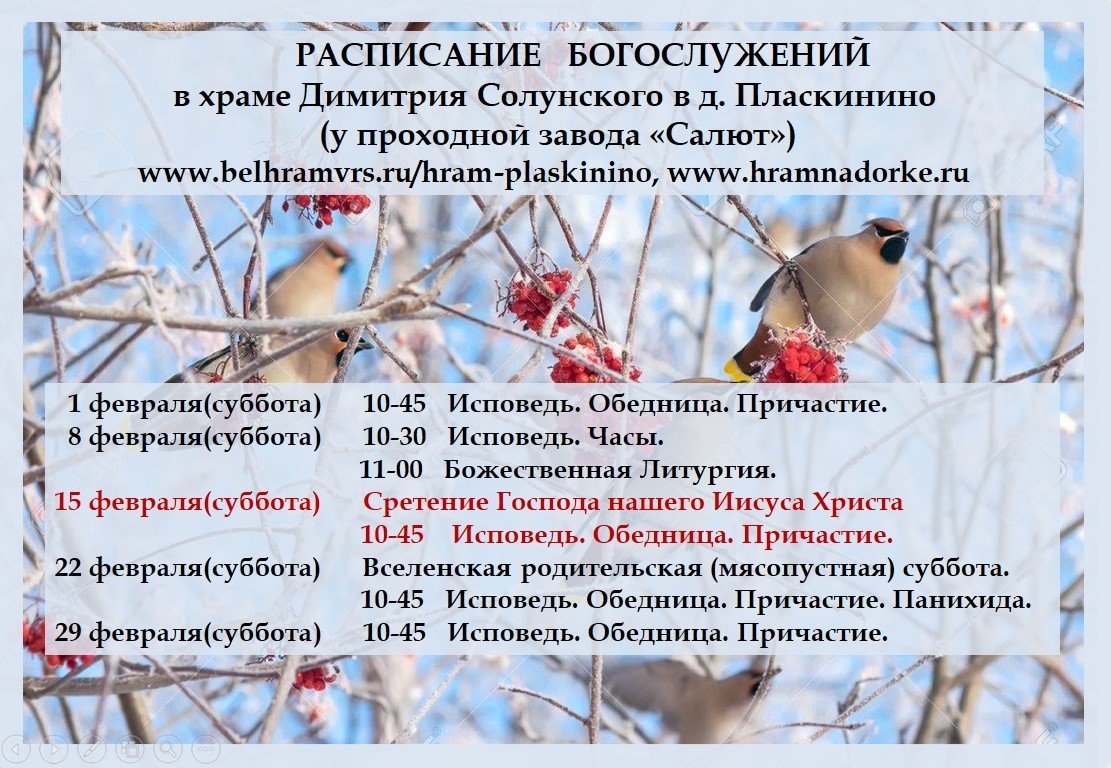 Февраль 2020