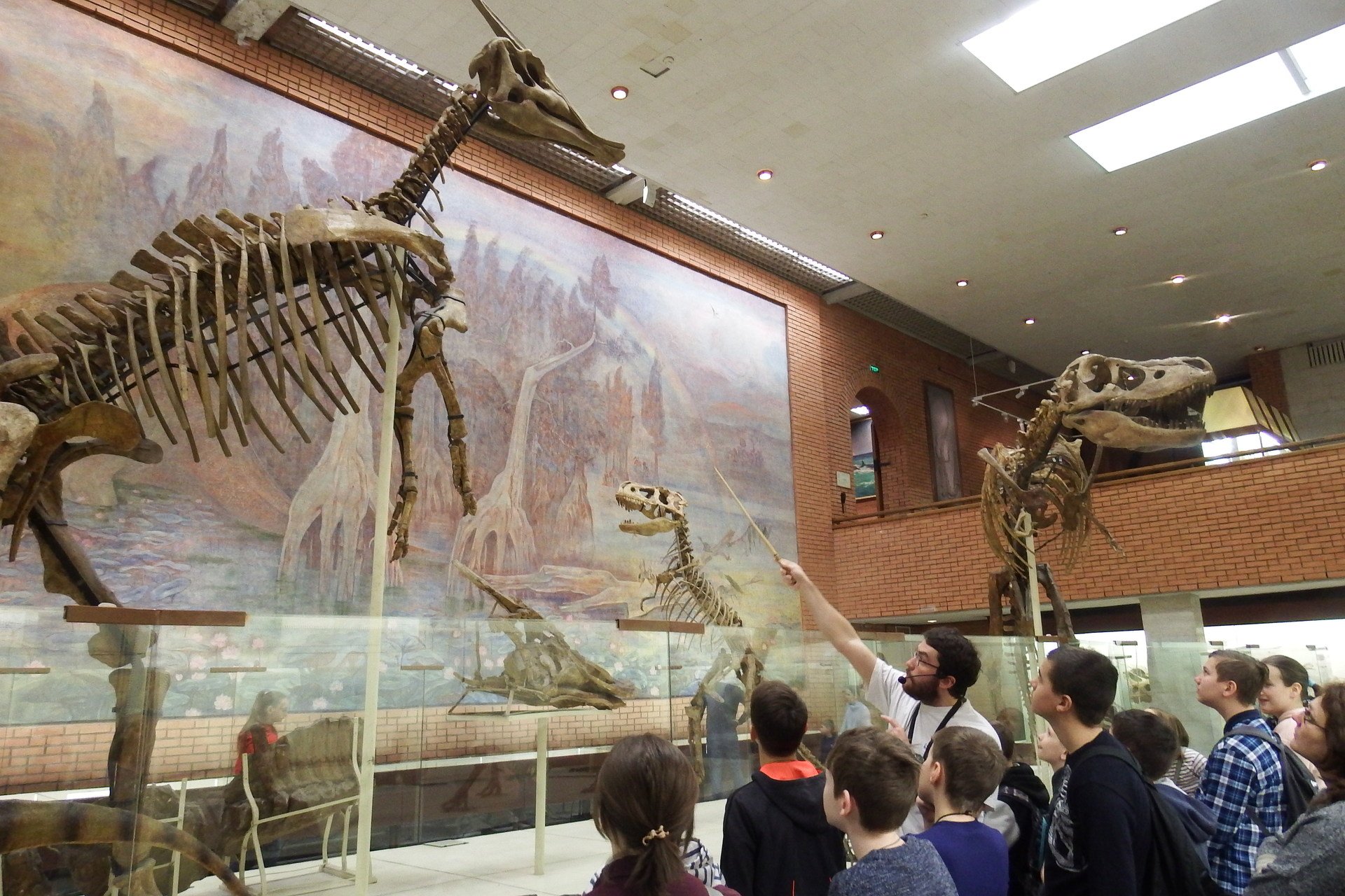 экспонаты палеонтологического музея в москве