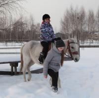 Зимой на лошадке